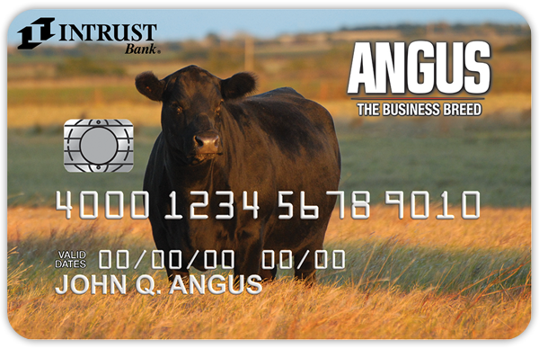 card-credit_angus-600x388