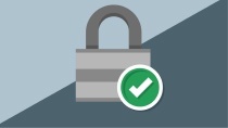 a cartoon of a padlock with a checkmark icon.